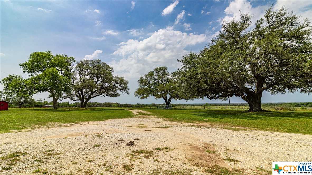 photo 3: 661 Zorn Road, Yorktown TX 78164