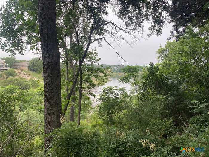 photo 2: 319 Arrowhead Point Road, Belton TX 76513