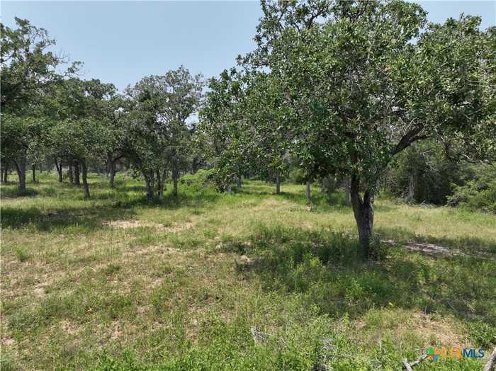 photo 2: TBD County Road 488, Gonzales TX 78629