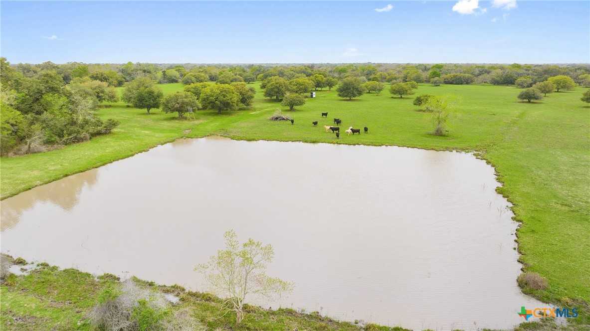 photo 3: 778 County Road 123, Edna TX 77957