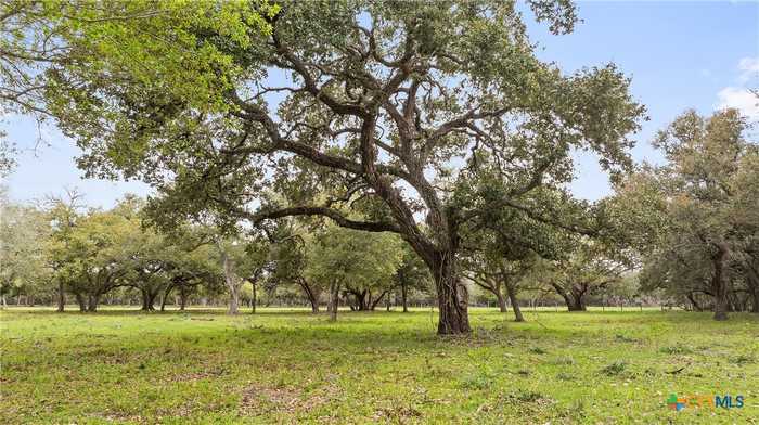 photo 47: 948 County Road 123, Edna TX 77957