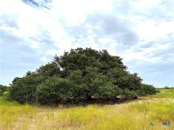 photo 2: TBD Tract 1 20.71 ac. County Road 265, Gatesville TX 76528