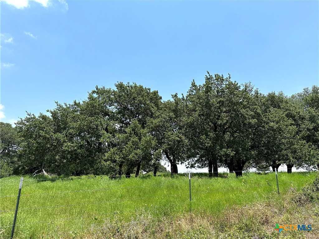 photo 3: TBD Tract 1 20.71 ac. County Road 265, Gatesville TX 76528