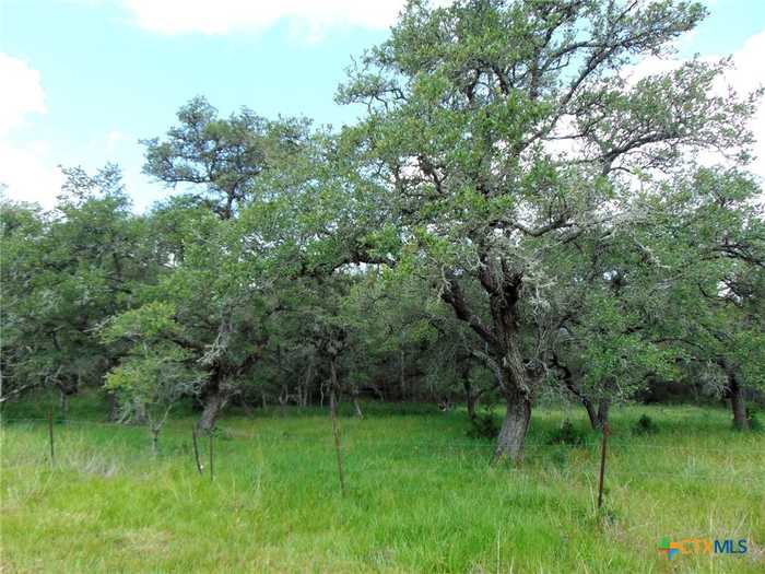 photo 14: 186 County Road 14d, Hallettsville TX 77964