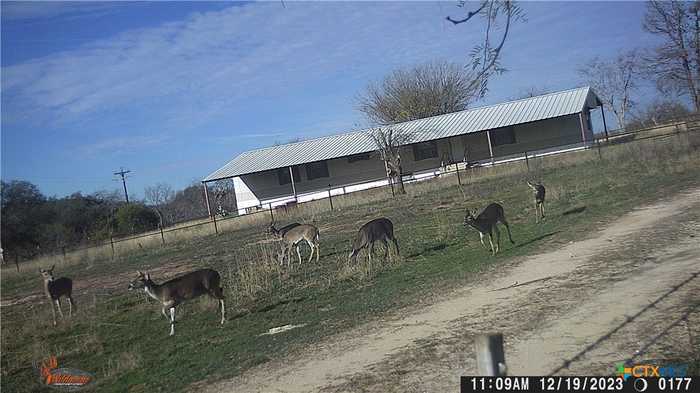 photo 1: 1690 County Road 530, Evant TX 76525