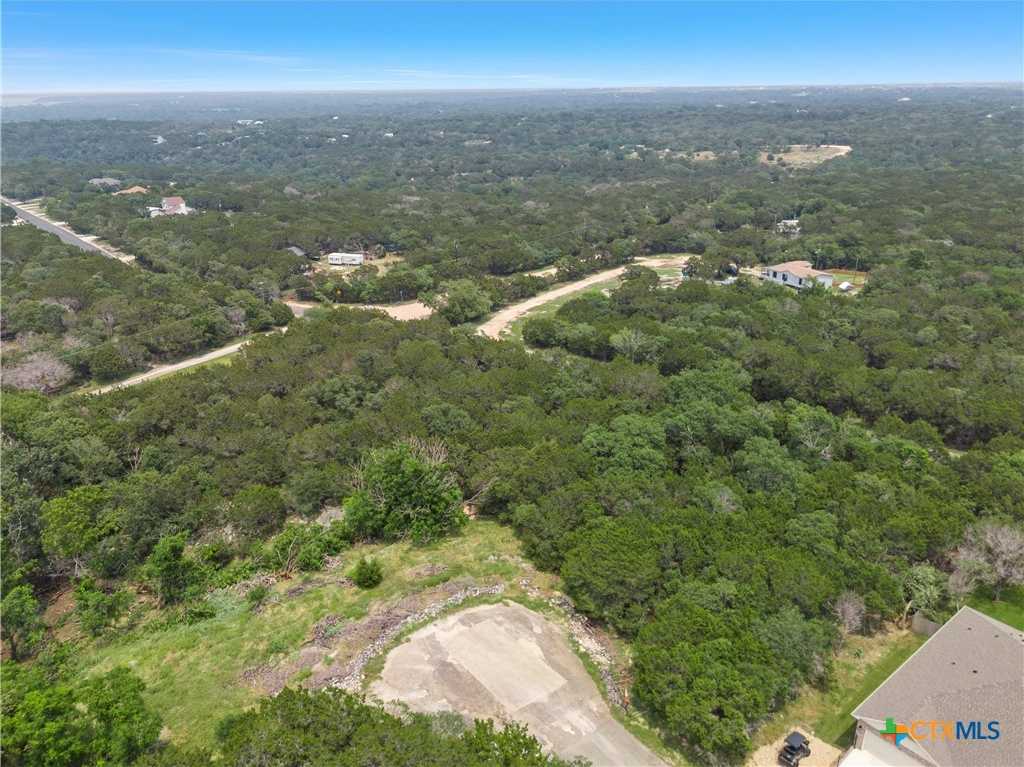 photo 3: 15717 Salado Court, Temple TX 76502