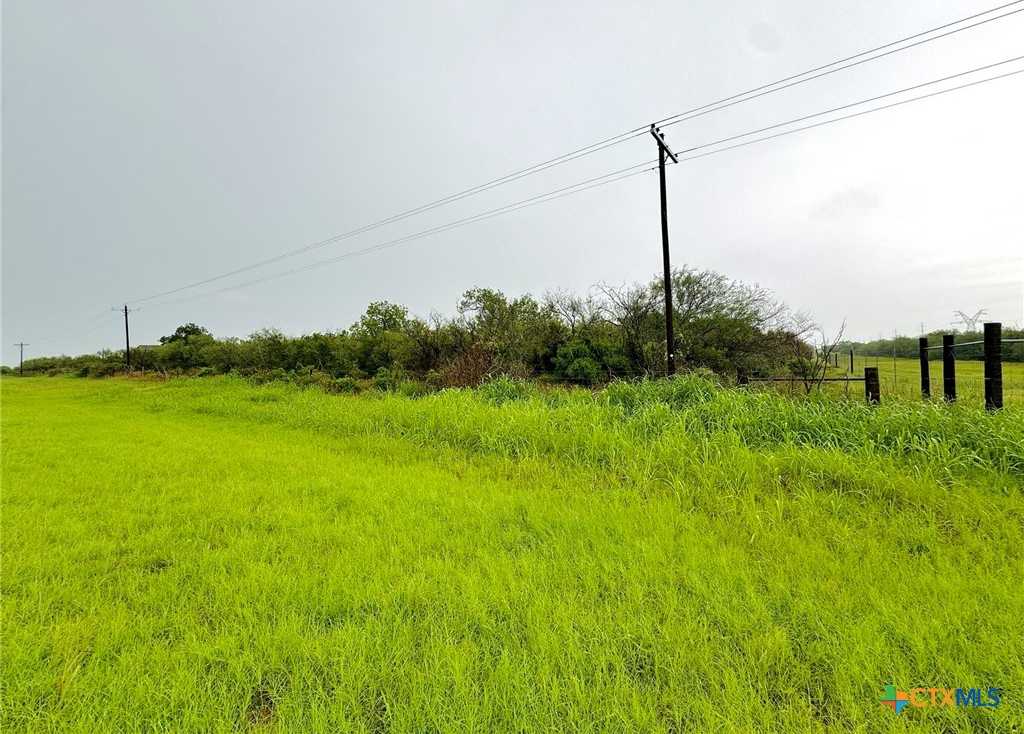 photo 2: TBD FM 81, Goliad TX 77963