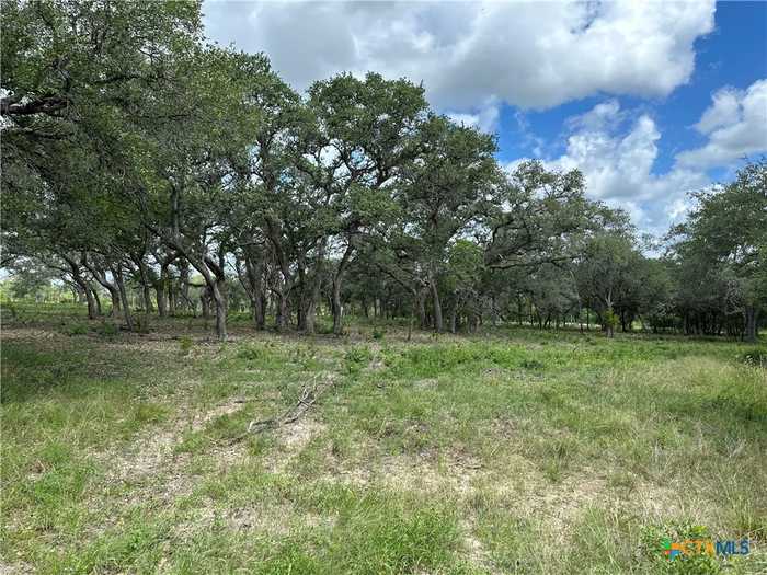 photo 1: 1776 FM 1351, Goliad TX 77963