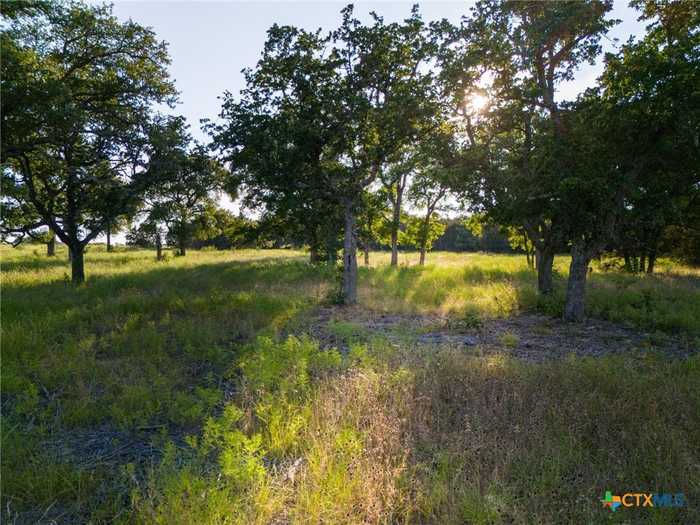 photo 2: 119 Pecan Creek Drive, Lampasas TX 76550