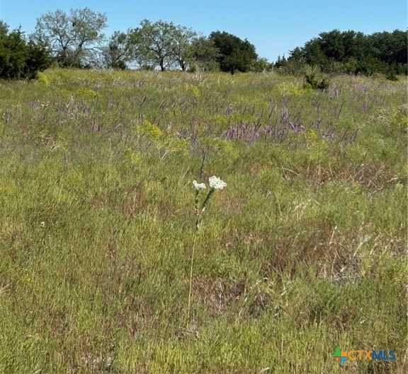 photo 3: TBD County Road 139, Gatesville TX 76528