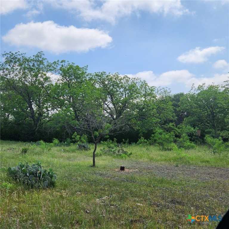 photo 3: TBD FM 2313, Kempner TX 76539