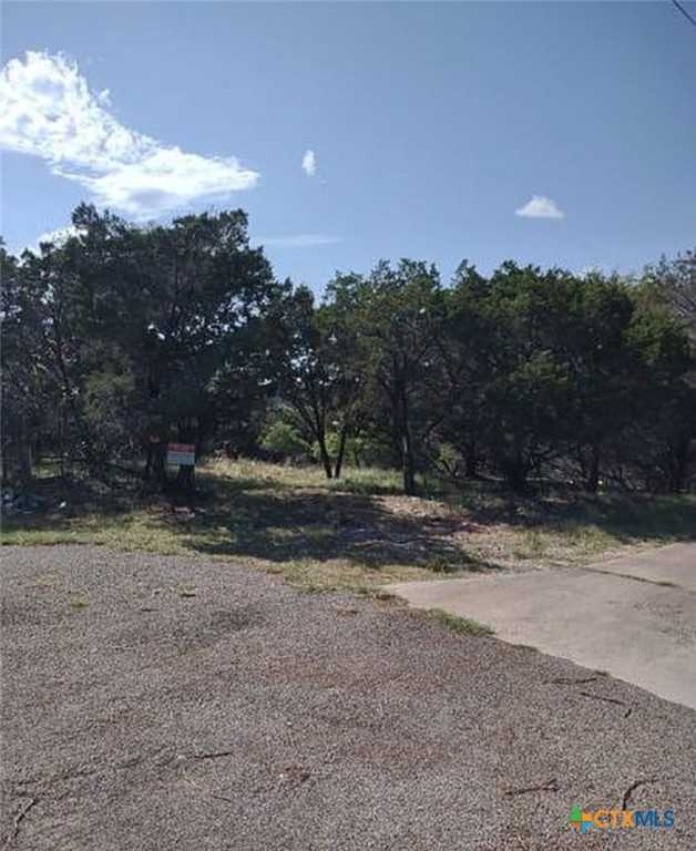 photo 3: 15988 Comanche Court, Temple TX 76502