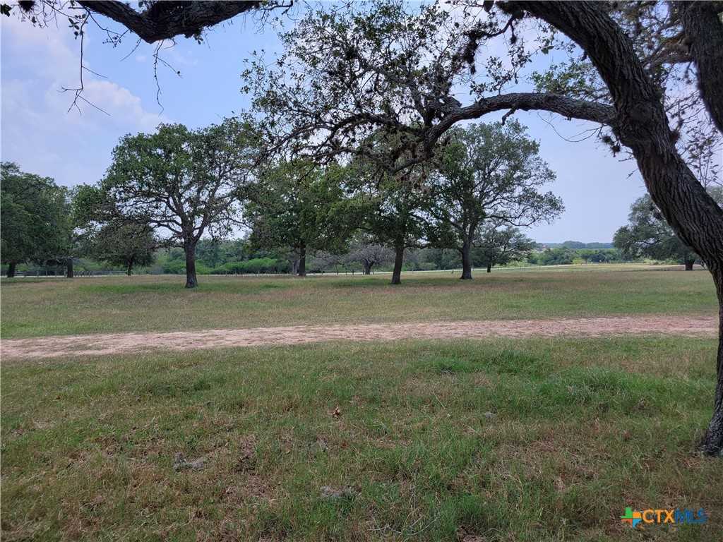 photo 2: Franke Road, Goliad TX 77963