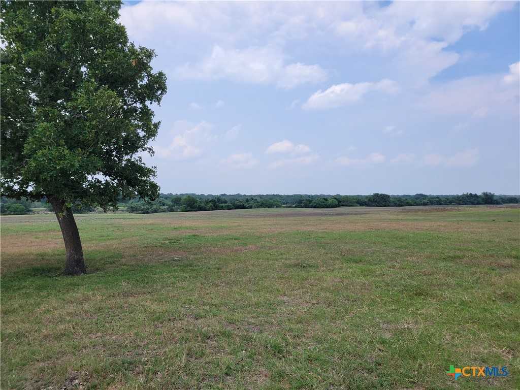 photo 3: Franke Road, Goliad TX 77963