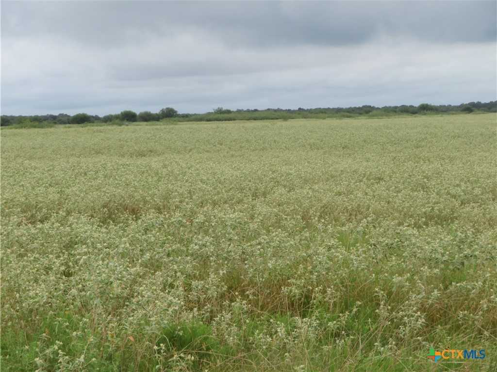 photo 1: CO RD 284, Edna TX 77957