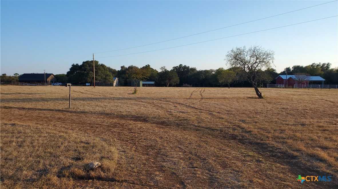 photo 3: 7799 Mcgregor Park Road, Temple TX 76502