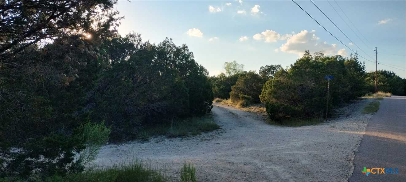 photo 3: 167 Zuni Lane, Kempner TX 76539