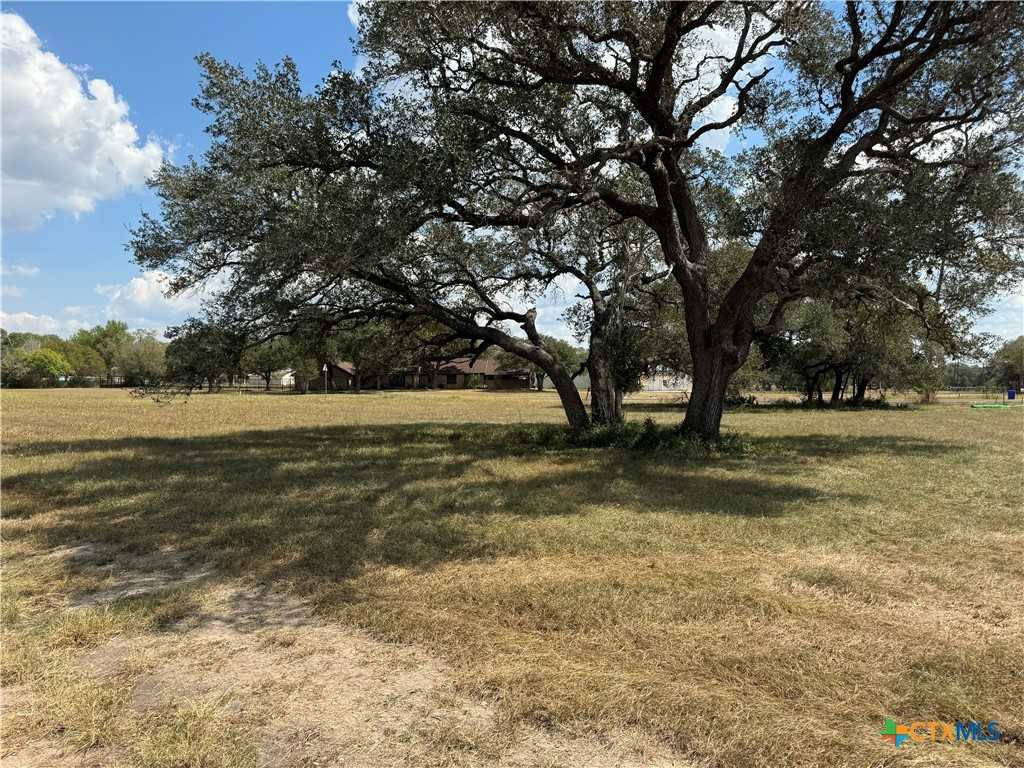 photo 1: Lot 8 Burt Street, Yoakum TX 77995