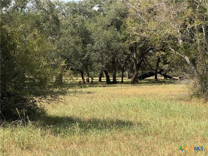 photo 9: Lots 1-5 Burt Street, Yoakum TX 77995