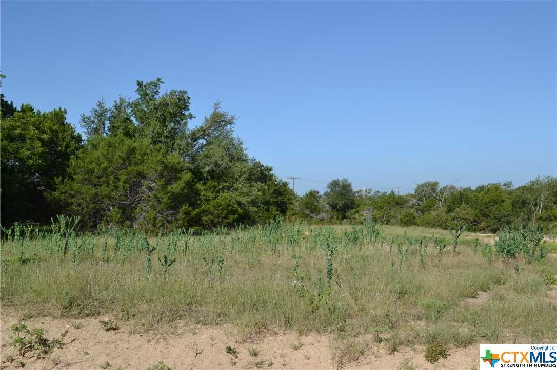 photo 2: Block 7, Lot 9 Lampasas River Place Phase Two, Kempner TX 76539