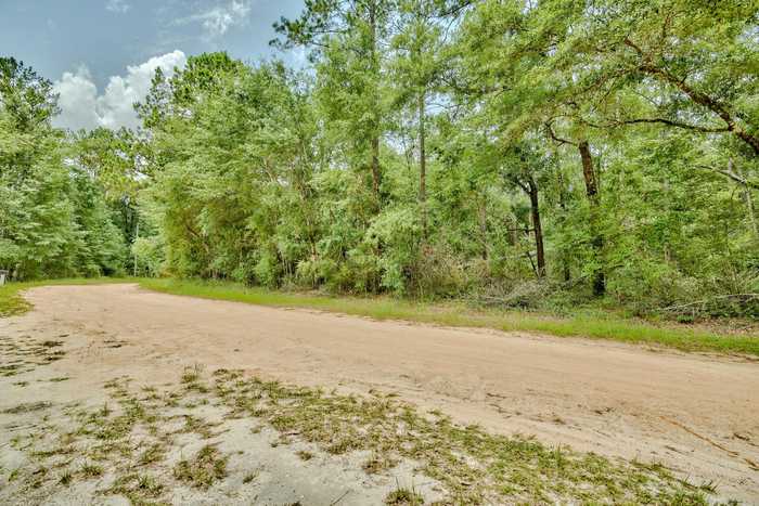 photo 15: Lot 17-18 Blue Creek Road, Ponce De Leon FL 32455