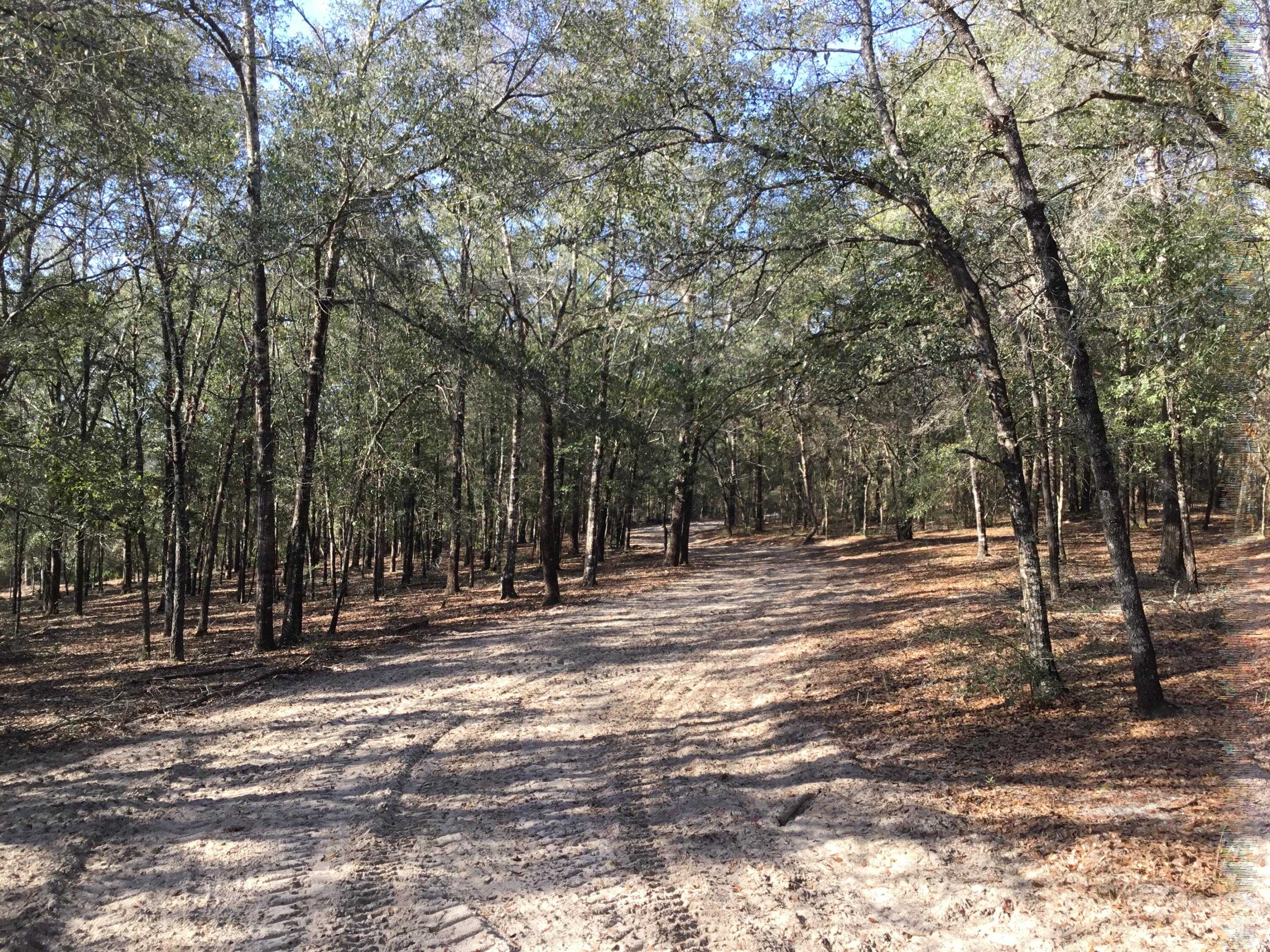 photo 2: 33 acres Aplin Road, Crestview FL 32539