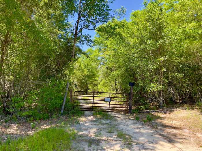 photo 1: 10 Acres Hub Presley Road, Laurel Hill FL 32567