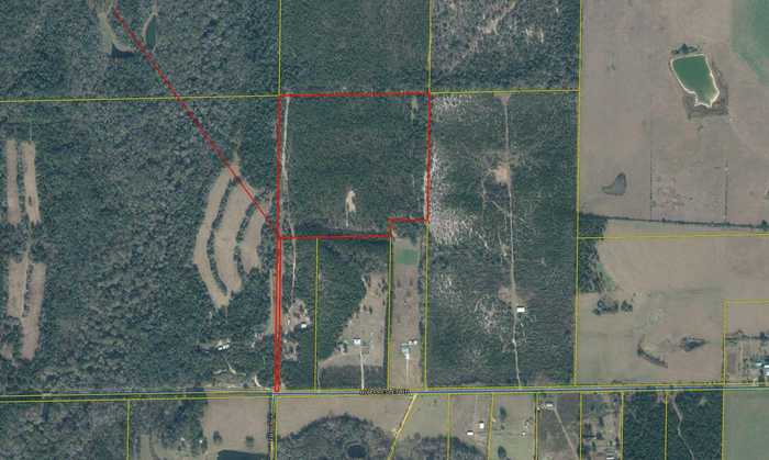 photo 2: 33 Acres Hub Presley Road, Laurel Hill FL 32567