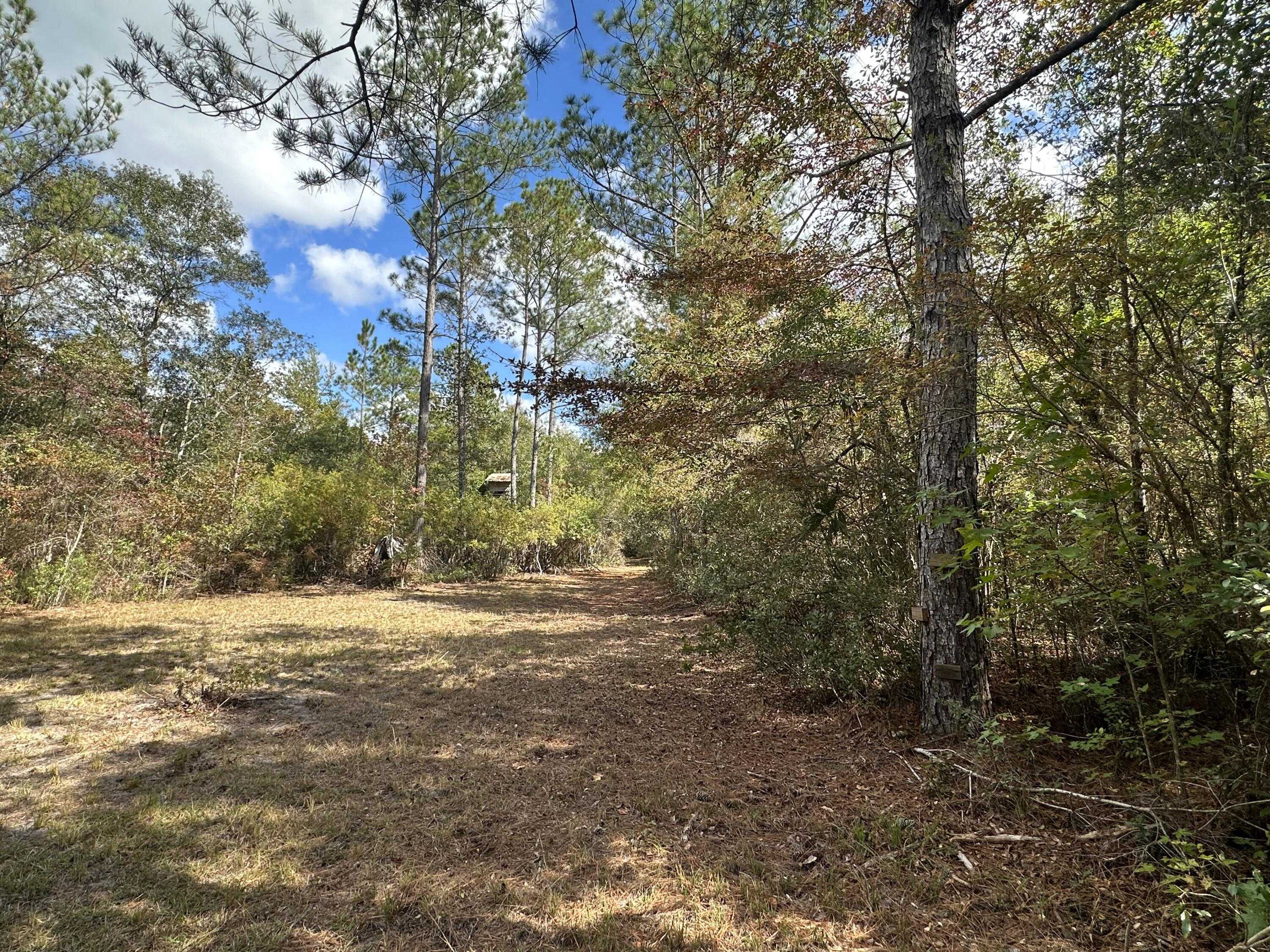 photo 1: 128.57 AC Lacey Lane, Crestview FL 32536