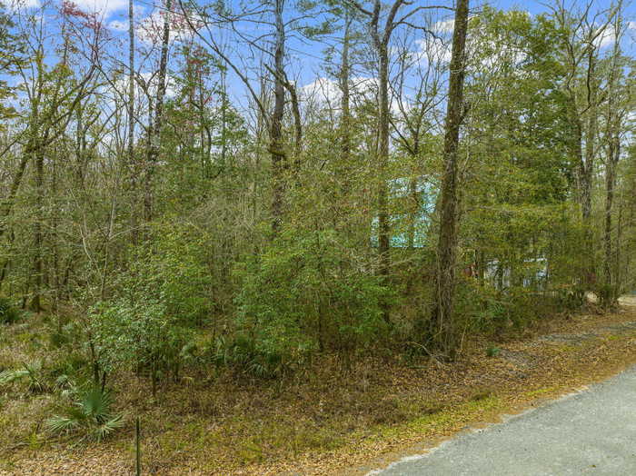 photo 8: Lot 37 CHOCTAWHATCHEE RIVER Road, Ponce De Leon FL 32455