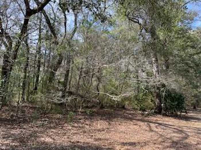 photo 1: Lot 25,26 Choctawhatchee River Road, Ponce De Leon FL 32455