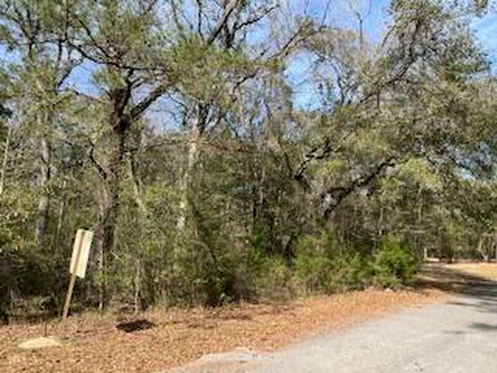 photo 2: Lot 25,26 Choctawhatchee River Road, Ponce De Leon FL 32455