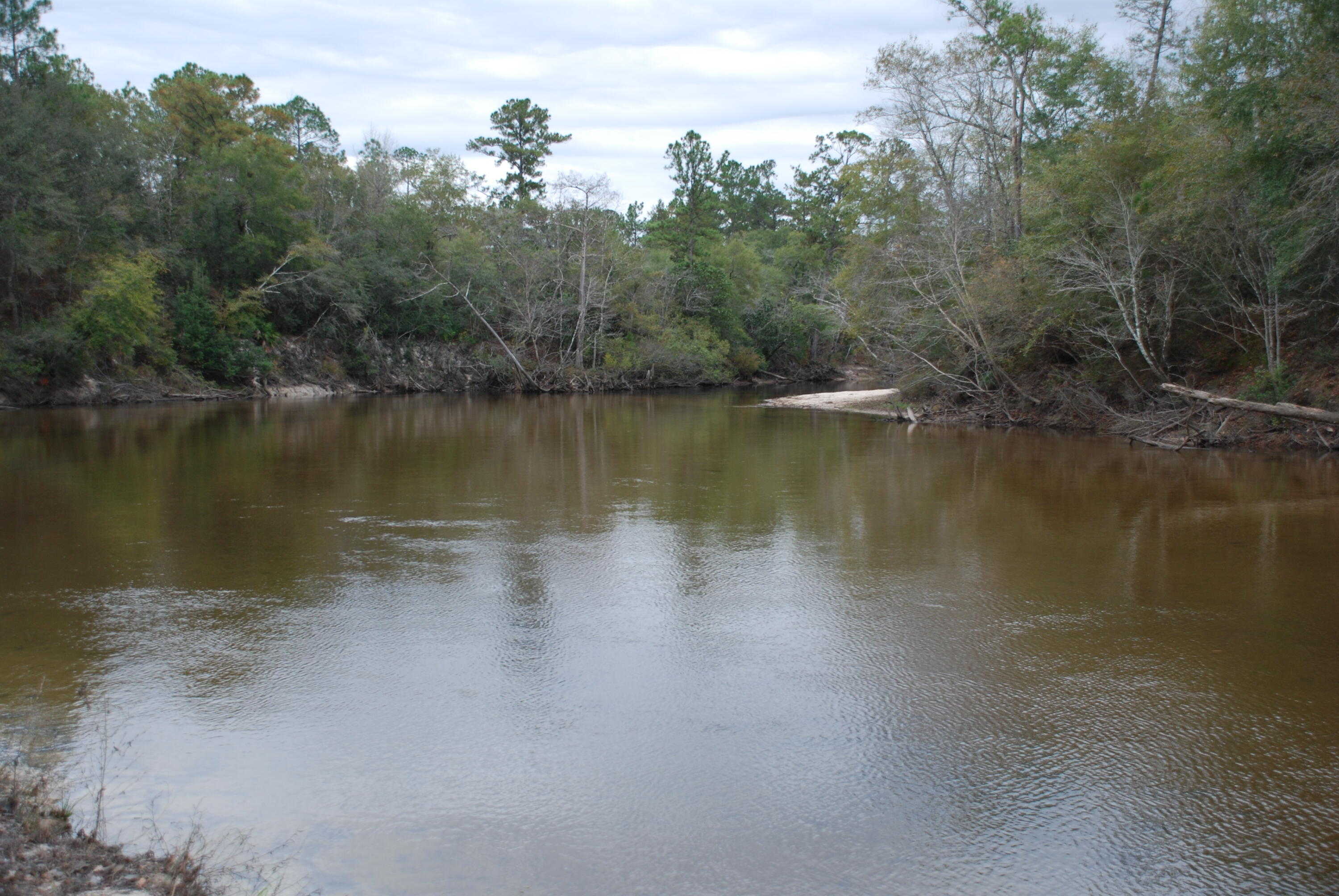 photo 3: TBD 180 +/- Acres, Crestview FL 32539