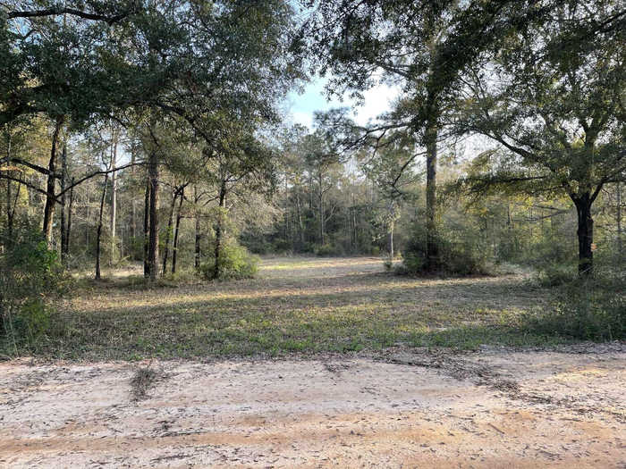 photo 1: 80 John Curry Road, DeFuniak Springs FL 32435