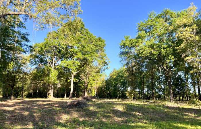 photo 1: 3.75 Acres Hester Church Road, Baker FL 32531