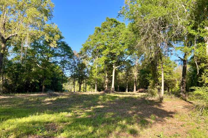 photo 2: 3.75 Acres Hester Church Road, Baker FL 32531