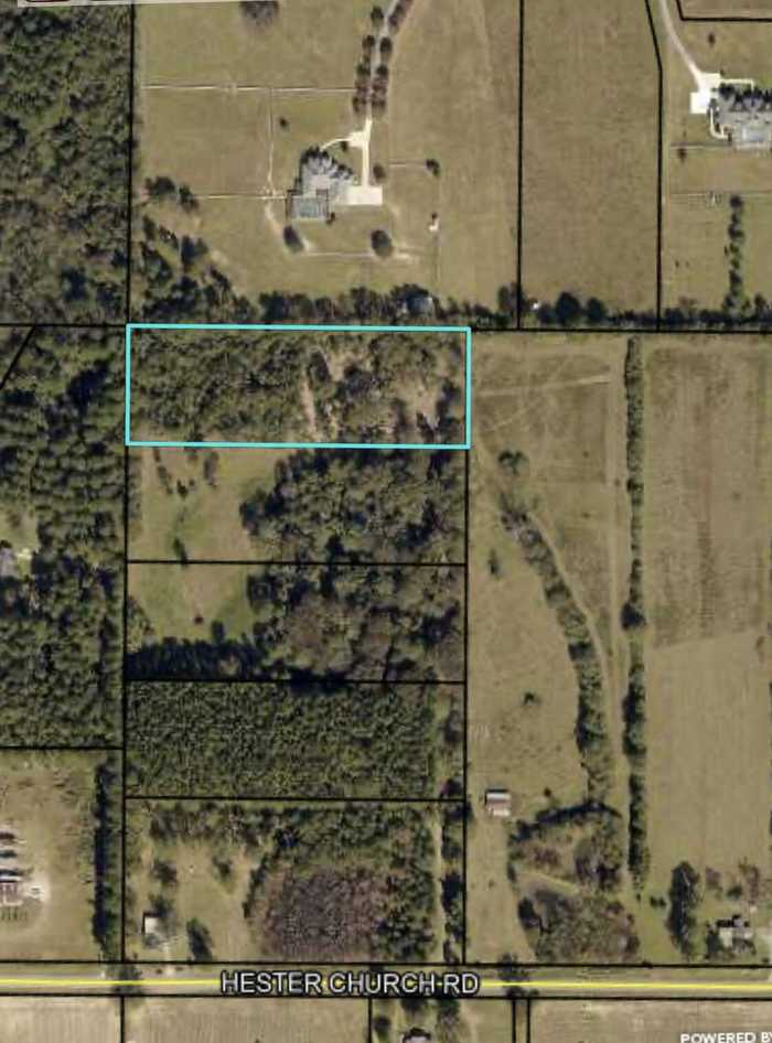 photo 7: 3.75 Acres Hester Church Road, Baker FL 32531