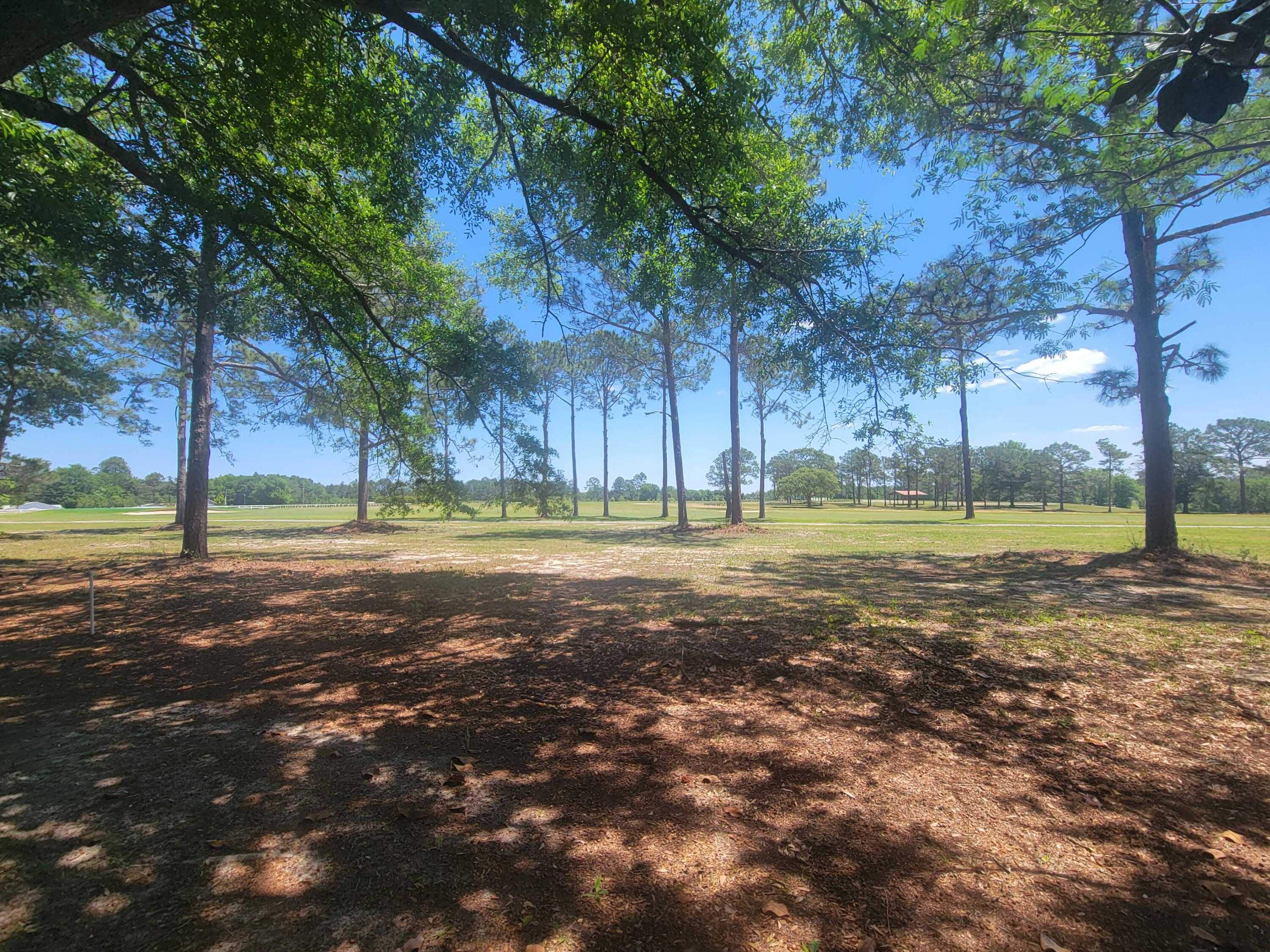 photo 3: 441 Country Club Drive, DeFuniak Springs FL 32435