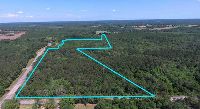 photo 2: 50 Acres N Us Highway 331, DeFuniak Springs FL 32433