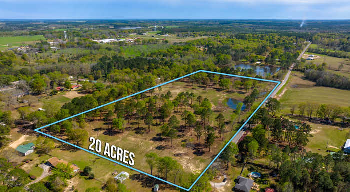 photo 11: 20 Acres Cannon Drive, Paxton FL 32538