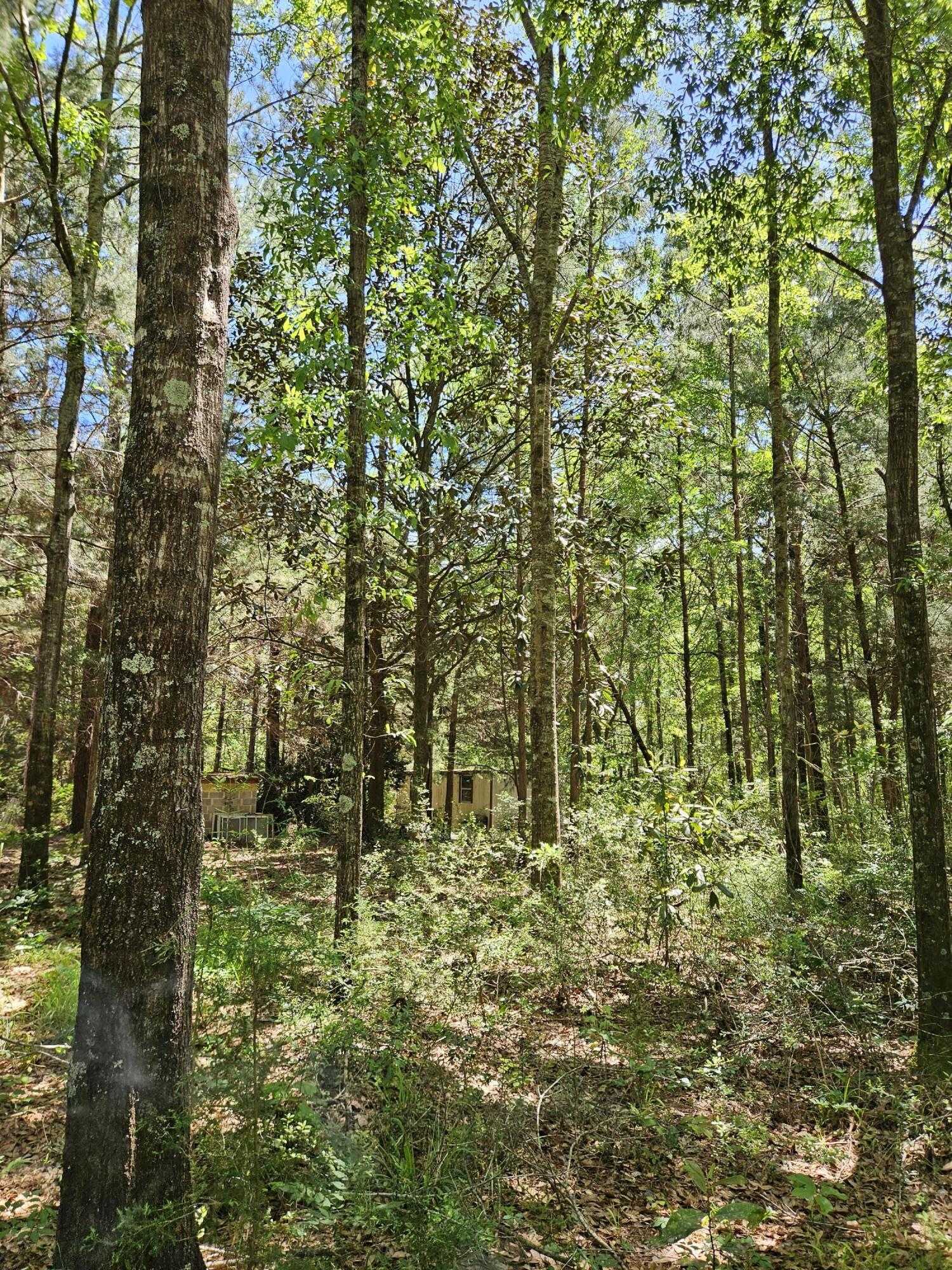 photo 2: 9 +/- Acre US Hwy 29, Other AL undefined