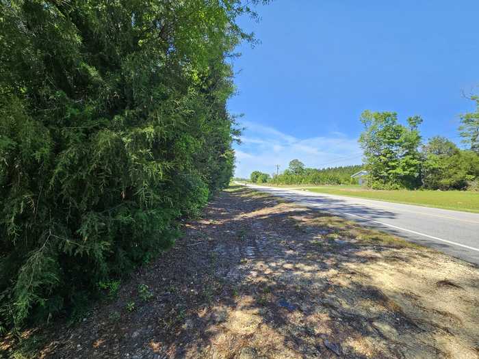 photo 9: 9 +/- Acre US Hwy 29, Other AL undefined