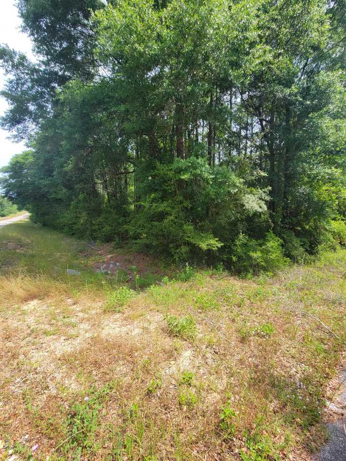 photo 1: N-22 acres N Co Highway 183, DeFuniak Springs FL 32433