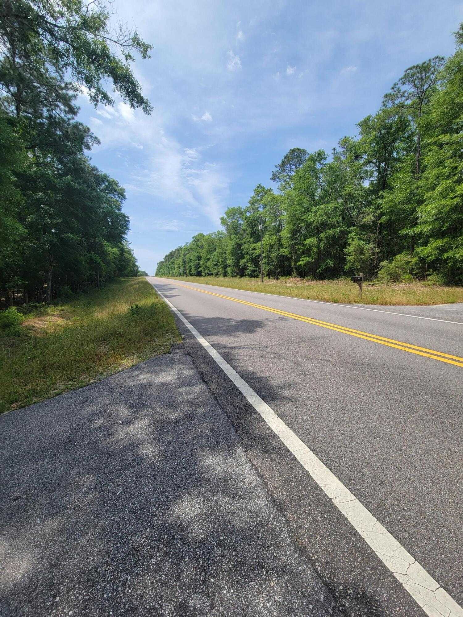 photo 2: N-22 acres N Co Highway 183, DeFuniak Springs FL 32433