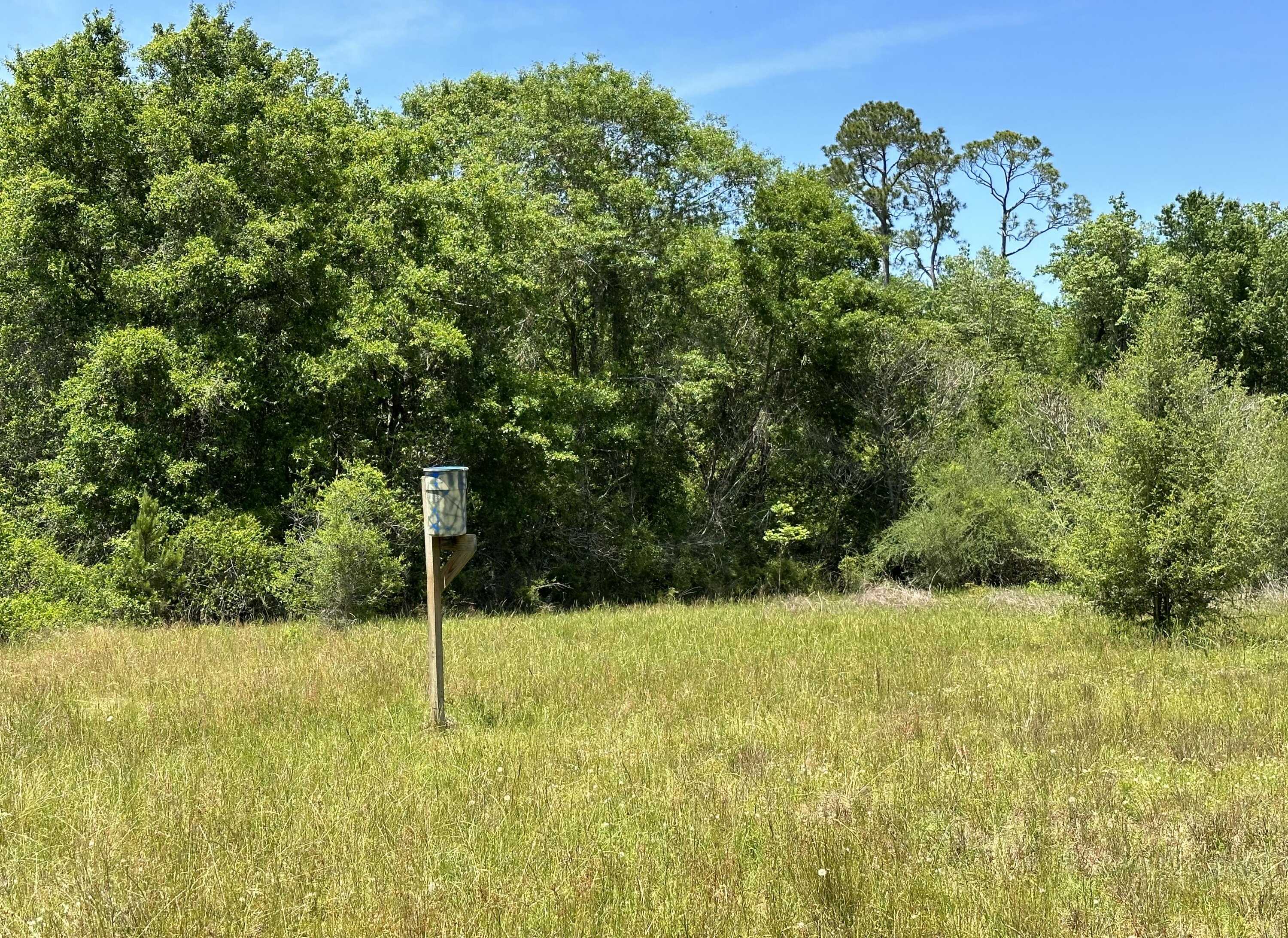 photo 2: 90+/-Ac Frost Lane, Laurel Hill FL 32567