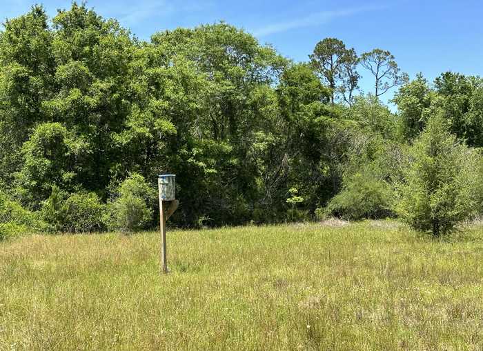 photo 2: 90+/-Ac Frost Lane, Laurel Hill FL 32567