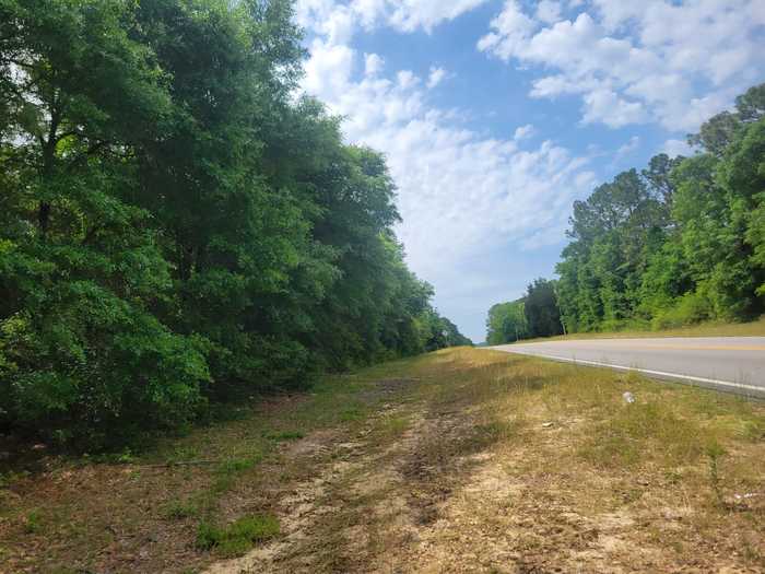 photo 1: S-22 acres N Co Highway 183, DeFuniak Springs FL 32433