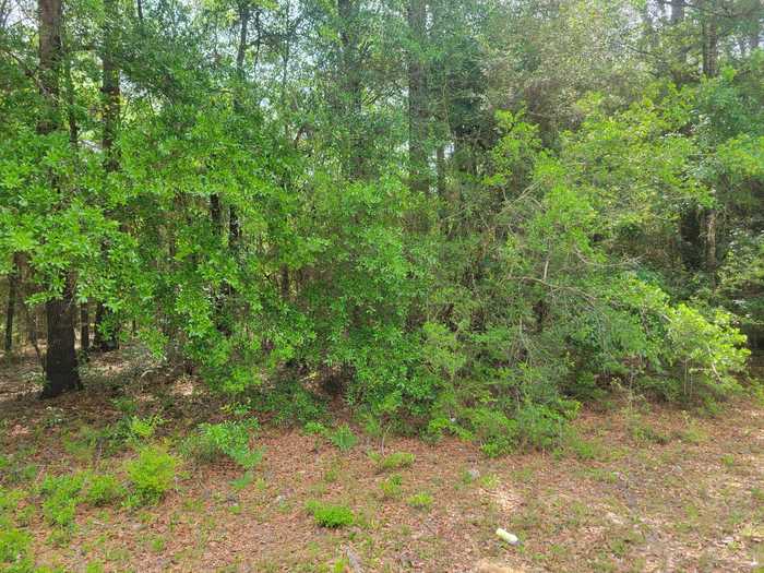 photo 2: S-22 acres N Co Highway 183, DeFuniak Springs FL 32433