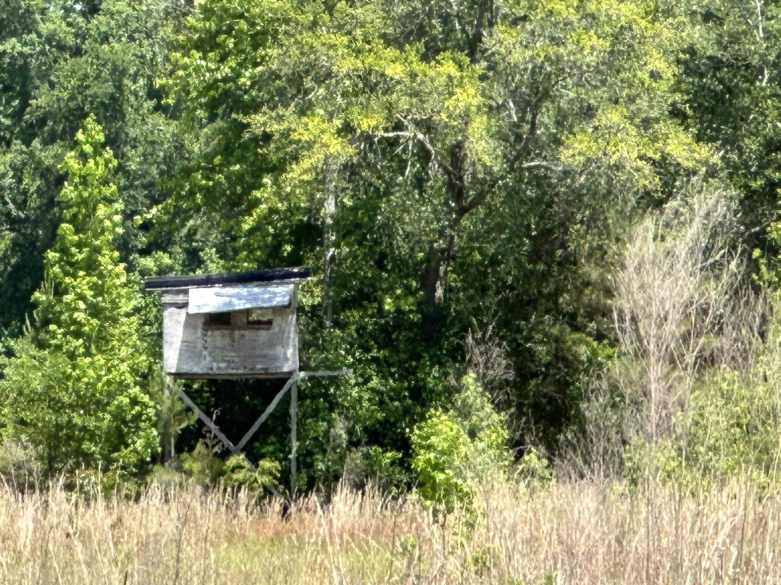 photo 1: 80+/-Ac Frost Lane Unit B, Laurel Hill FL 32567