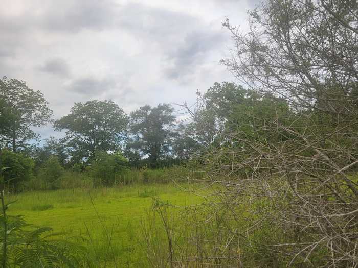 photo 2: 16.5 acres Williams Road, DeFuniak Springs FL 32433